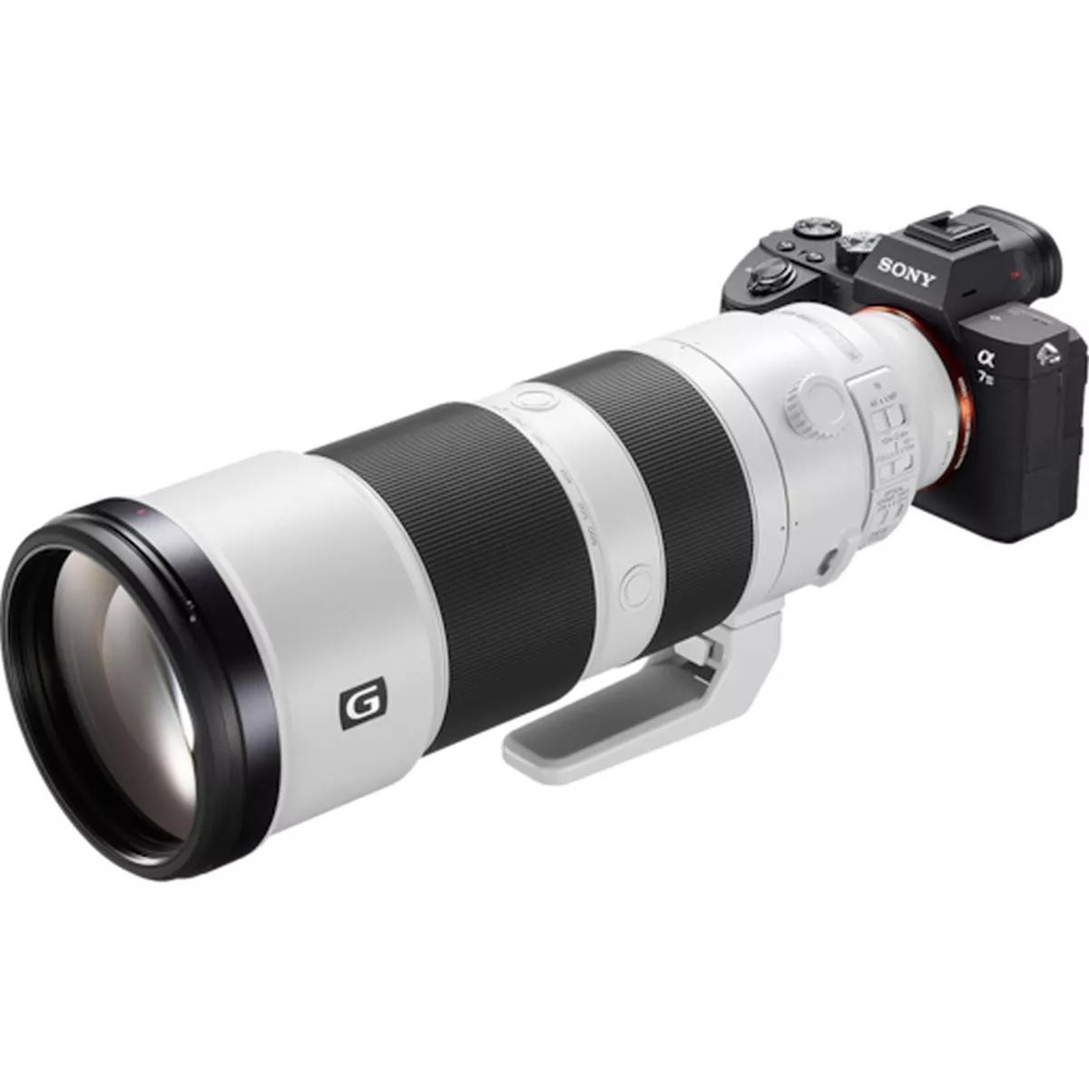 Sony 200-600 mm f/5,6–6,3 G OSS - Imagen 2