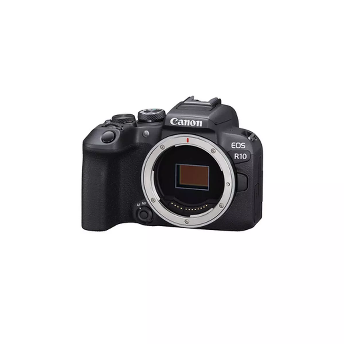 Canon EOS R10 Body - Imagen 5