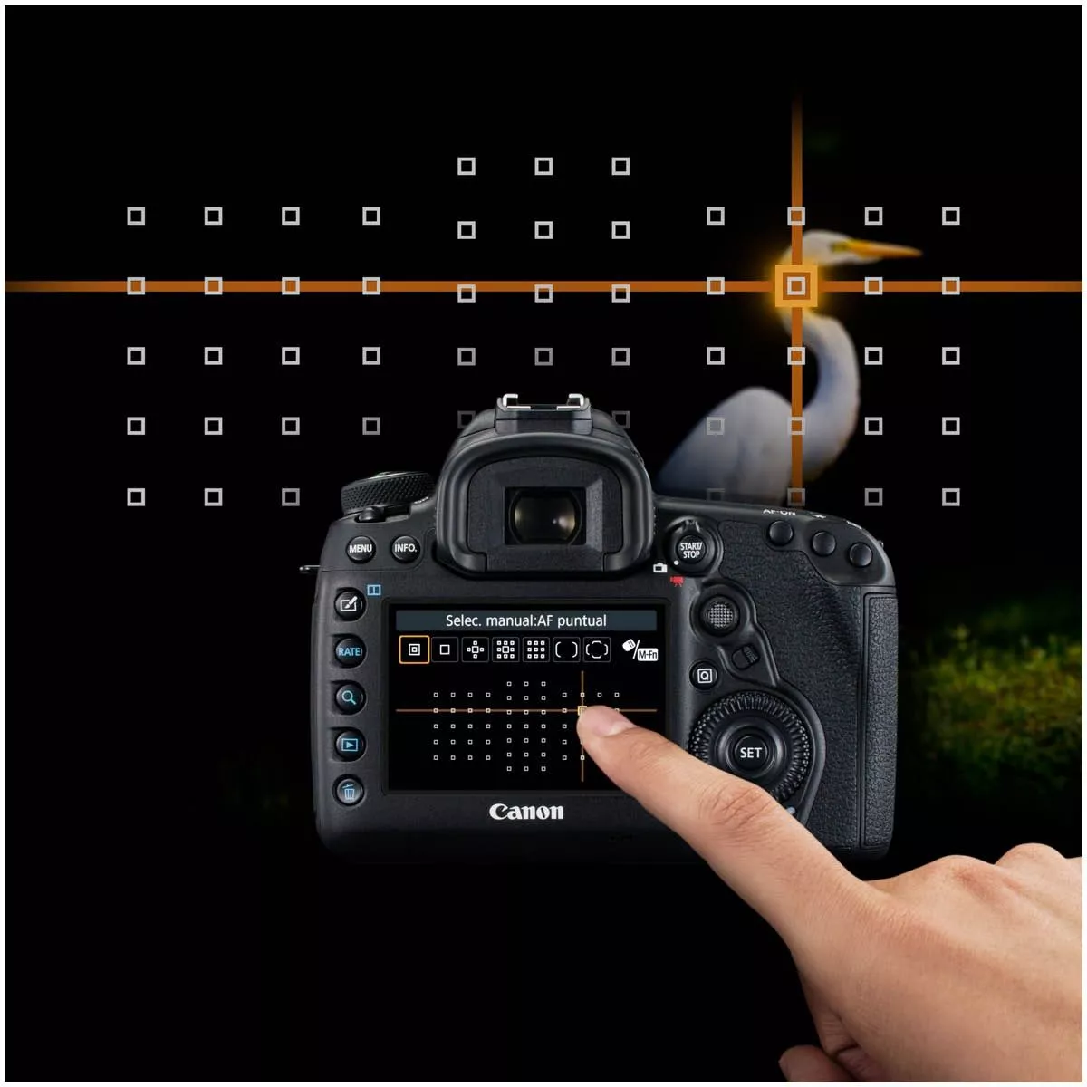 Canon EOS 5D Mark IV Body (Canon 1483C025) - Imagen 5